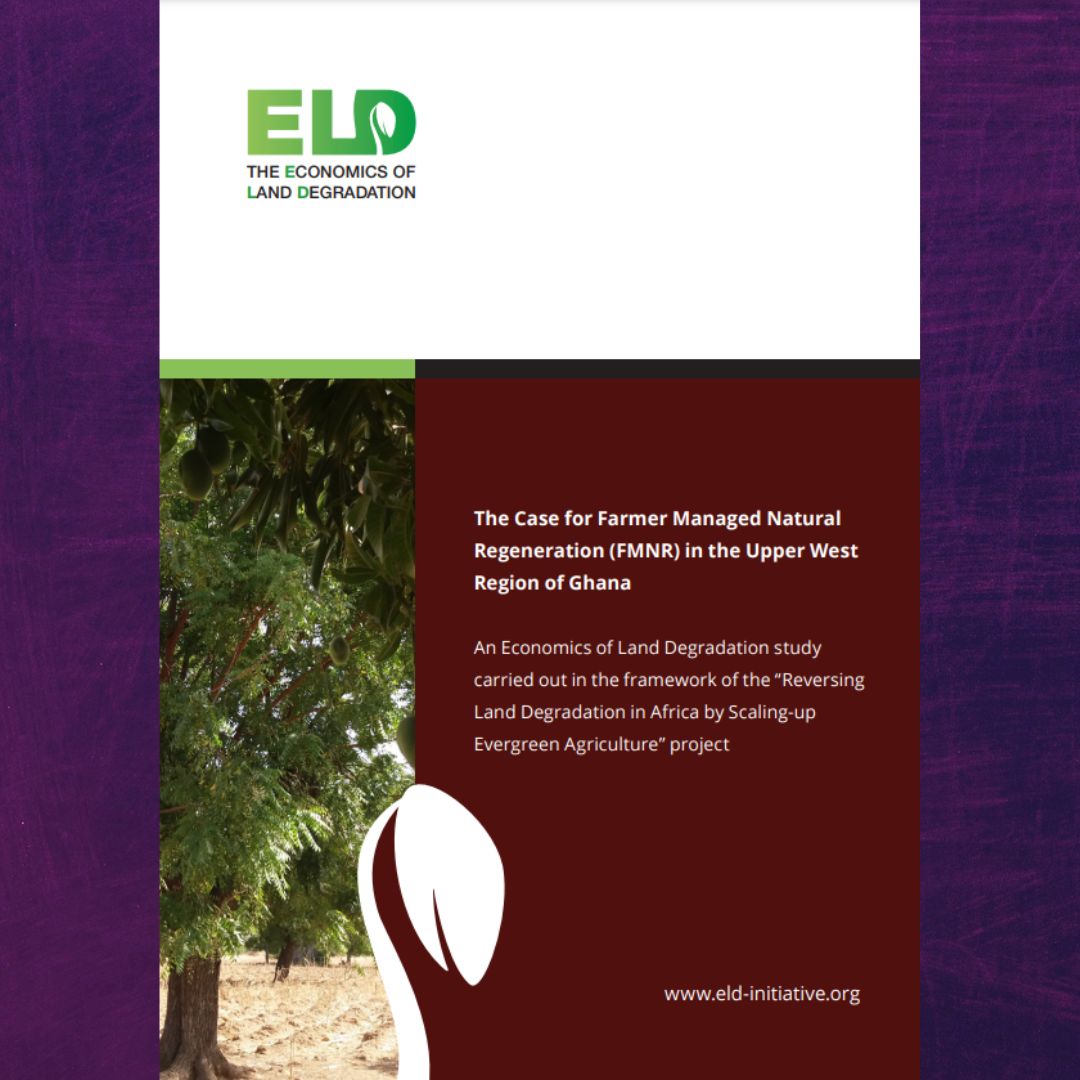 The Economics of Land Degredation. The Case for Farmer Managed Natural Regeneration (FMNR) in the Upper West Region of Ghana. www.eld-initiative.org